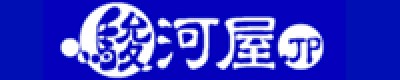 COSHOLIC